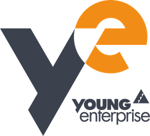 Young Enterprise NI logo